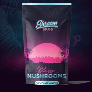 MAGIC MUSHROOM TEA – CHOCOLATE MINT