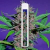 Cake Disposable She Hits Different