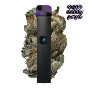 plugplay Disposable