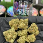 Alien Labs