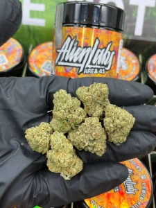 Alien Labs