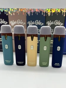 Big chief disposable